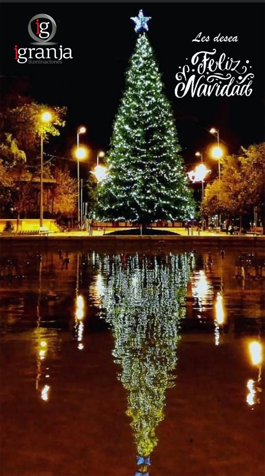 Árbol de Navidad iluminado reflejado en el agua
